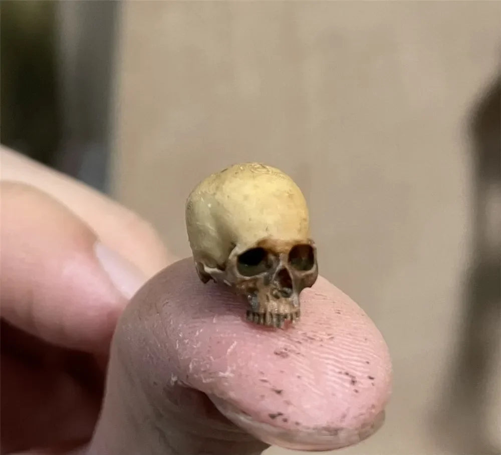 Dollhouse Skull Decor Halloween — scene view