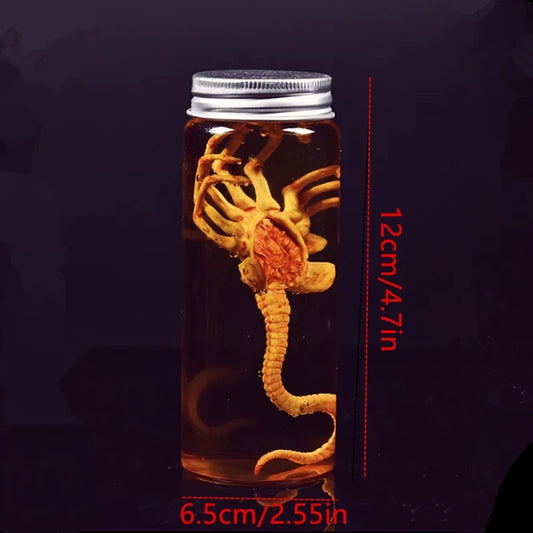 Alien Specimen Jar Prop Replica — detalied side view