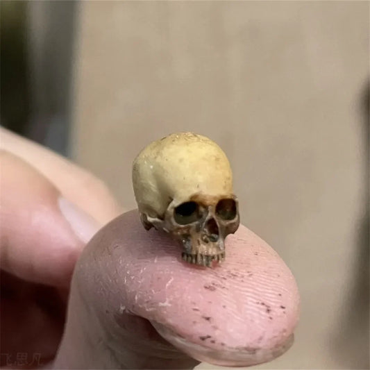 Dollhouse Skull Decor Halloween — main view