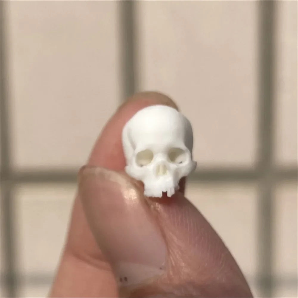 Dollhouse Skull Decor Halloween — box and pieces