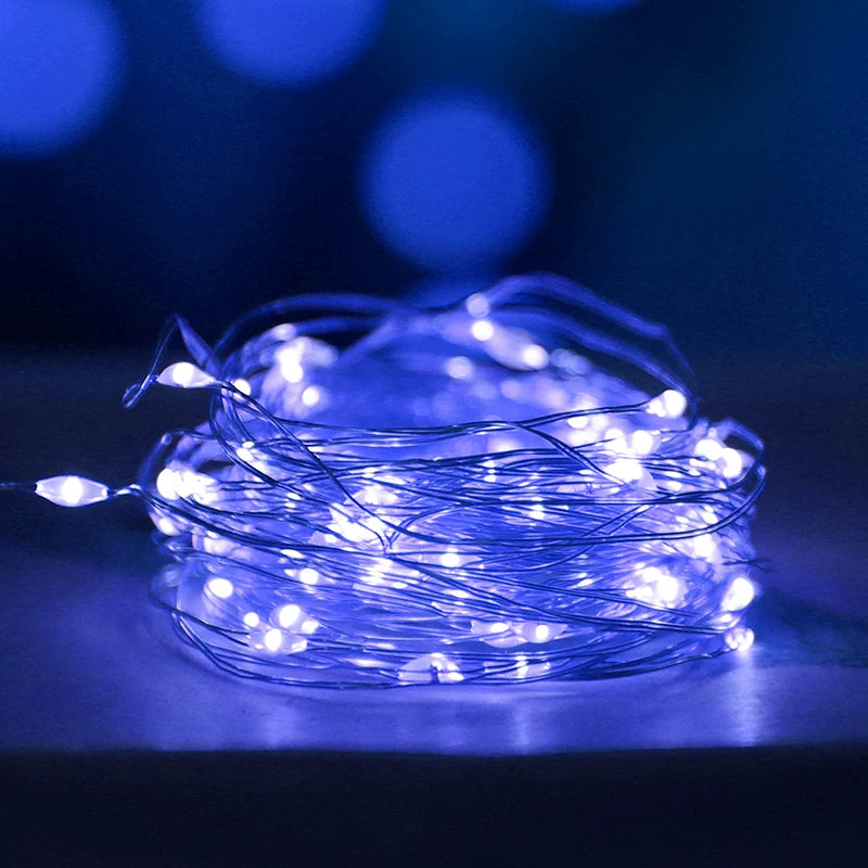 Warm White LED Fairy String Lights Starry Twinkle Wire Ambient Decor for Bedroom, DIY Crafts, Flower Bouquet, Parties & Holidays