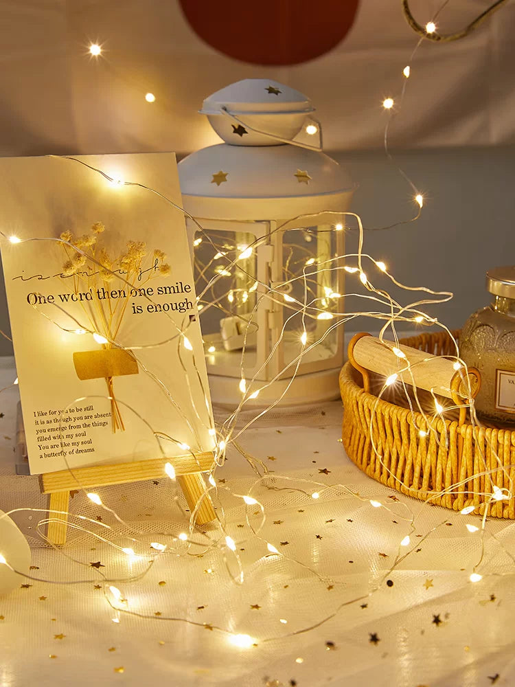 Warm White LED Fairy String Lights Starry Twinkle Wire Ambient Decor for Bedroom, DIY Crafts, Flower Bouquet, Parties & Holidays