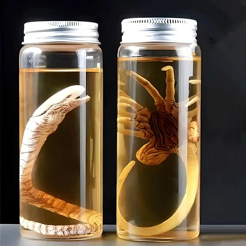 Alien Specimen Jar Prop Replica — angled close-up