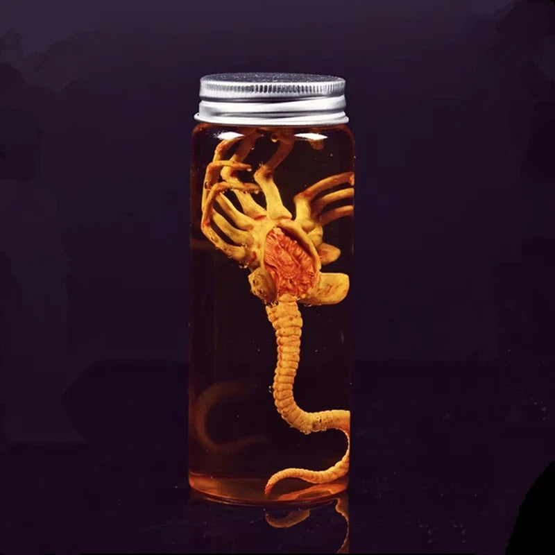 Alien Specimen Jar Prop Replica — main view