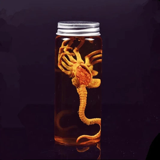 Alien Specimen Jar Prop Replica — main view