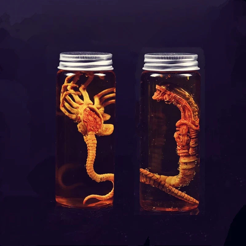 Alien Specimen Jar Prop Replica — open display view