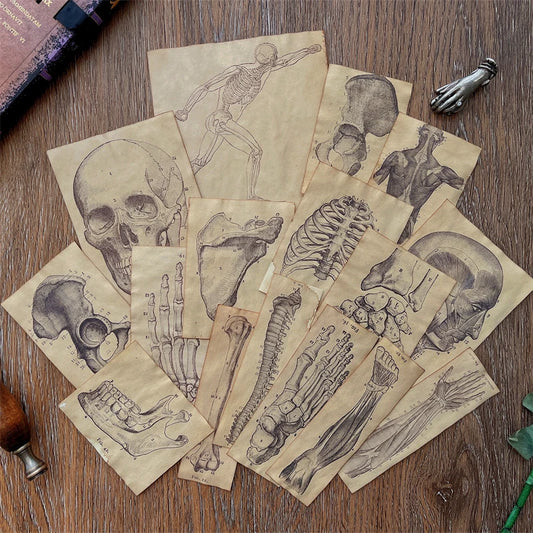 Vintage Coffee Dyed Paper Pack Human Anatomy Skeleton Ephemera Junk Journal Collage Scrapbook Material